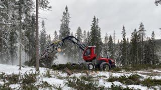 Komatsu 931 c124 in clear cut Sounds