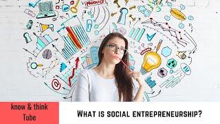 Social Entrepreneurship  What is social entrepreneurship characteristics & examples  #Businesses