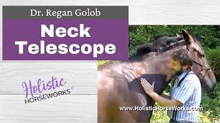 Dr  Regan Golob Demonstrates the Neck Telescope