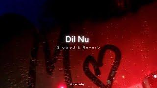 Dil Nu  AP Dhillon - slowed n reverb