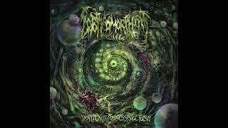 Ectoplasmorphosis - Vortex Of Possessable Flesh Full Album