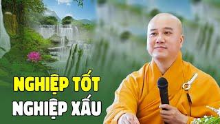 Nghiệp Tốt Nghiệp Xấu - Thầy Thích Pháp Hòa