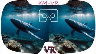3D VR VIDEOS 526 4K
