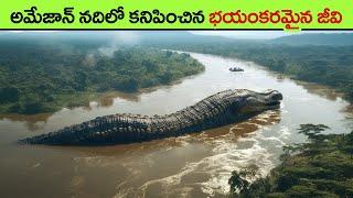 Amazing Sea Creatures Youve Never Seen Before  facts in telugu  scary deep sea creatures