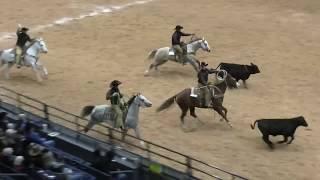 Stray Gathering - 2019 WRCA World Championship Ranch Rodeo Thursday