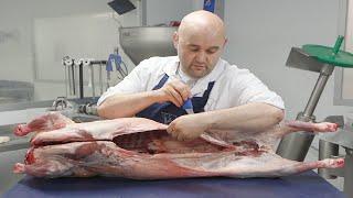 How to Butcher a Whole Lamb Part 1 Whole Carcass & French Trimmed Rack  HG Walter Ltd