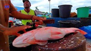 Om Yakop dan Sang Bintang Potong Ikan Kakap Merah Untuk Acara Malam Tahun Baru