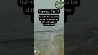 Topwater Bass Fishing Like A Pro #shorts #protips #fishing