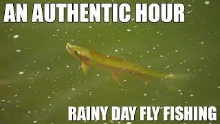 An Authentic Hour - A Rainy Afternoon of Fly Fishing Tips and Tactics for Brown & Rainbow Trout