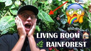 How I built a rainforest in my living room. DIY living plant wall