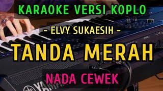 TANDA MERAH  ELVY SUKAESIH  KARAOKE NADA CEWEK  VERSI KOPLO