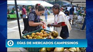 DÍAS DE MERCADOS CAMPESINOS