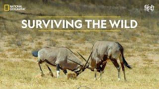 Surviving the Wild  Africa’s Deadliest  हिन्दी  Full Episode  S6 - E3  Nat Geo Wild