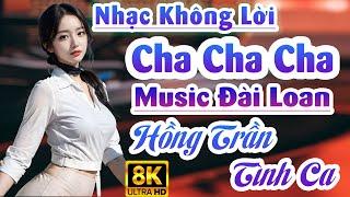 Hòa Tấu Đài Loan Cha Cha Cha - Hồng trần tình ca music âm hưởng nhạc cụ sáng tạo độc đáo