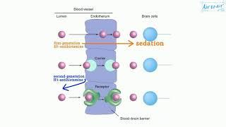 loratadine