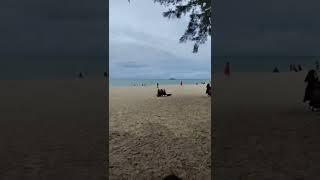 Pantai tikus emas