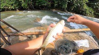 MANCING JERAM MENGUNAKAN UMPAN KUCUR SAWIT