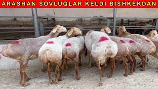 Sobirjonga 100 kg SOVLUQ QOYLAR KELDI  91-127-47-47   91-658-12-12