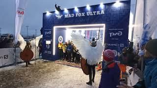 Старт Valhalla Race 160 км Вальгалла Mad fox Ultra 2021