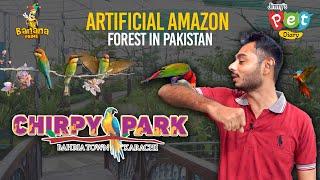 CHIRPY PARK  Artificial Amazon Forest In Pakistan   Promo Out   Jimmy’s Pet Diary  Banana Prime