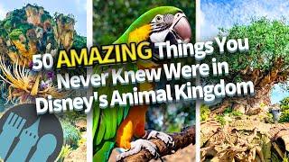 50 AMAZING Things You Never Knew Were in Disneys Animal Kingdom