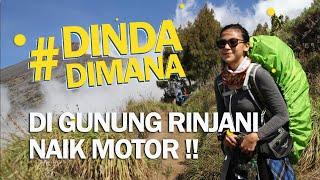 DI GUNUNG RINJANI NAIK MOTOR  #DindaDimana