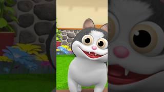 Meow Meow Billi Karti म्याऊं म्याऊं बिल्ली करती #shorts #babysongshindi #ilovecats #shortsvideo