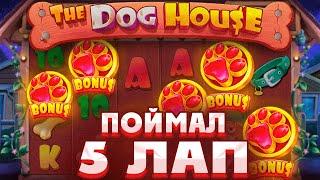 ПОЙМАЛ БОНУСКУ НА 5 ЛАП В THE DOG HOUSE MEGAWAYS СЛОВИЛ ЛЮТЫЙ КАМБЭК В ALL IN БОНУСЕ ИЛИ 0 ???