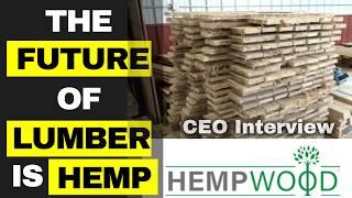 Hempwood - Interview With the Founder and CEO