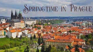 Springtime in Prague