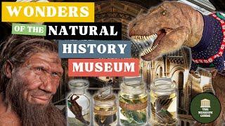 The Wonders of Londons Natural History Museum - An In-Depth Guided Tour