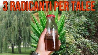 3 RADICANTI per TALEE NATURALI e GRATIS