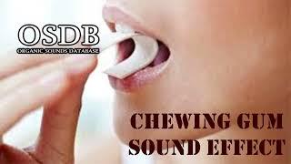 Gum Chewing Sound Effect No Copyright