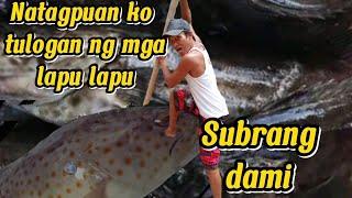 Spearfishing.NATAGPUAN NAMIN ANG TULOGAN NG MGA LAPU LAPU.