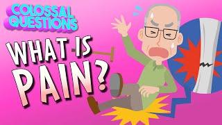 What Is Pain?  COLOSSAL QUESTIONS