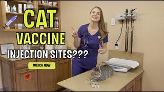 CAT VACCINE INJECTION SITES?  The 4 Core feline vaccines and their administration sites