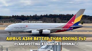 I CHOOSE AIRBUS A380 OVER BOEING 747 PLANESPOTTING EDITION AT NARITA