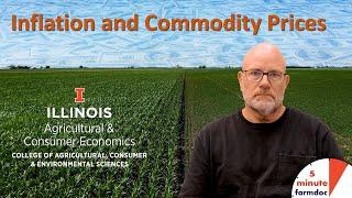 Inflation and Commodity Prices