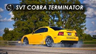 SVT Cobra Terminator  Still Smoking Imports