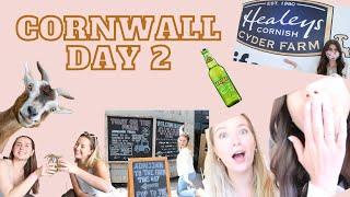 CORNWALL VLOG DAY 2  GOATS CIDER AND DRUNK AT 1PM