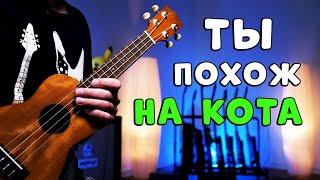 zhanulka - ты похож на кота  разбор на укулеле как в оригинале