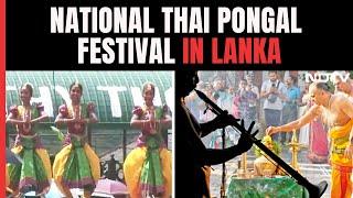 Thai Pongal A Harvest Festival For Tamils