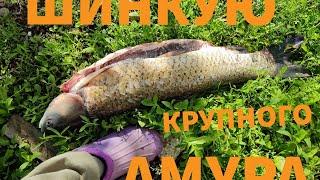 Шинкую крупную рыбу рыба без костей амур