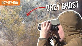 SO MANY DEER  2023 Coues Deer Hunt Day-by-Day Ep.1