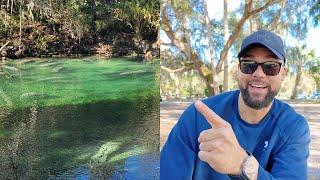 Watching Hundreds of Manatees Migrate to Blue Spring State Park in Florida  DJI Osmo Pocket 3 Test