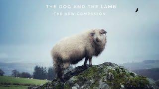 The Dog And The Lamb - The New Companion