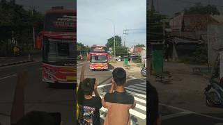 suara cortas memang ciamik #basuritelolet #busmania #davmusicalairhorn