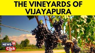 Karnataka Elections 2023  Vineyards Of Vijayapura In A Fix Relying On Maharashtra  English News