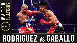 Rodriguez vs Gaballo FULL FIGHT December 19 2020  PBC on SHOWTIME