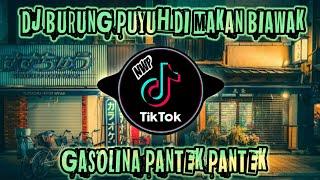 DJ BURUNG PUYUH DI MAKAN BIAWAK X GASOLINA X PANTEK PANTEK VIRAL TIK TOK FULL BASS